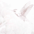 Obraz-na-szkle-fragment-koliber-i-kwiaty_web.webp