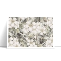 Plakat-poziom-bok-kwiaty-plumerii_web.webp