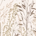 Plakat-fragment-polne-trawy-i-ziola-naturalna-dekoracja-do-salonu_web.webp