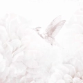 Plakat-poziom-fragment-koliber-i-kwiaty_web.webp