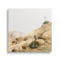 Obraz-na-szkle-kwadrat-nowoczesny krajobraz-bezowa-pustynia-boho-do-salonu-sypialni_web.webp