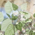 fototapeta-zielone-galazki-na-brazowoniebieskim-tle-fragment.webp