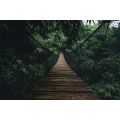 fototapeta-mosty-motyw.webp