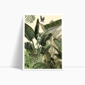 zestaw-2-plakatow-tropikalne-liscie-palma-zielony-boho-salon1_web.webp