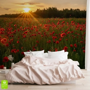 Fototapeta na wymiar: Czerwone Maki na Polu o Zachodzie Słońca – Styl Rustykalny i Nowoczesny, Fototapeta do sypialni i salonu, Czerwono-Zielona, Pejzaż natury XXL