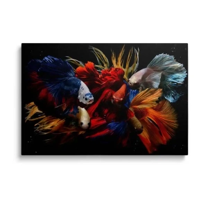 Obraz na szkle Podwodny świat