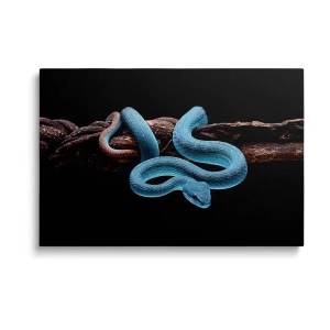 Obraz na szkle Niebieski wąż