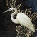 fragment-biala-czapla-na-jeziorze_web.webp