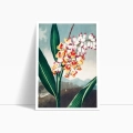 zestaw-2-plakatow-botanicznych-polne-kwiaty-akwarela-bez-salon-bok1_web.webp