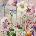 fragment-letnia-laka_web.webp