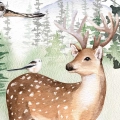 fragment-zwierzeta-w-lesnym-otoczeniu_web.webp