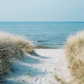 fototapeta-okragla-morze-plaza-sciezka-styl-nowoczesny-sypialnia-fragment.webp