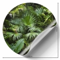 Fototapeta-okragla-gesta-dzungla-zielone-liscie-palmy-3D-naklejka.webp
