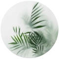 Fototapeta-okragla-liscie-palmy-we-mgle.webp