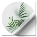 Fototapeta-okragla-liscie-palmy-we-mgle-naklejka.webp