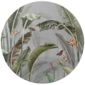 Fototapeta-okragla-botaniczna-strelicja-krolewska.webp