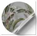 Fototapeta-okragla-botaniczna-strelicja-krolewska-naklejka.webp
