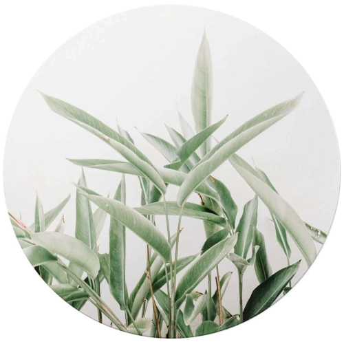 Fototapeta-okragla -duze-zielone-liscie-styl-skandynawski-i-boho-wzor-roslinny-.webp