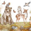 fototapeta-lesne-zwierzatka-mis-jelonek-fragment_web.webp