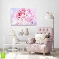 obraz-na-szkle-pastelowa-piwonia.webp