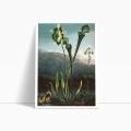 zestaw-2-plakatow-botanika-vintage-ciemna-zielen-salon2_web.webp