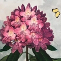 zestaw-2-plakatow-lilie-rododendron-botanika-vintage-zielen-salon-fragment_web.webp