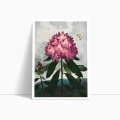zestaw-2-plakatow-lilie-rododendron-botanika-vintage-zielen-salon2_web.webp