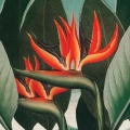 zestaw-2-plakatow-kwiaty-botanika-vintage-zielen-salon-fragment_web.webp
