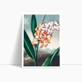 zestaw-2-plakatow-kwiaty-botanika-vintage-zielen-salon2_web.webp