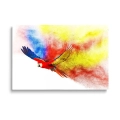 obraz-szklany-kolorowa-papuga.webp