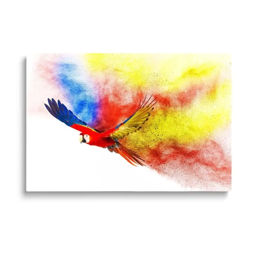 obraz-szklany-kolorowa-papuga.webp