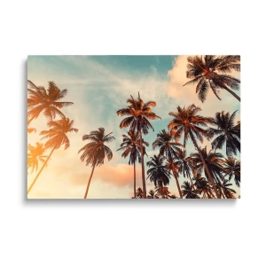 Obraz na szkle Palmy na tle nieba