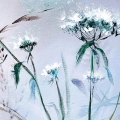 fragment-polne-trawy-malarska-laka-kwiatowa-sypialnia-boho_web.webp