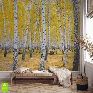 Fototapeta jesienny las brzozowy realistyczny na wymiar - do sypialni salonu przedpokoju, styl boho scandynawski, żółta natura