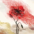plakat-fragment-czerwony-mak-malarski-kwiat_web.webp