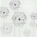fototapeta-dmuchawce-zblizenie.webp
