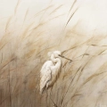 fototapeta-na-wymiar-jasnobezowa-laka-trawy-fragment_web.webp