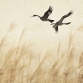 fototapeta-trawy-pampasowe-zurawie-ptaki-fragment_web.webp