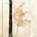 fototapeta-las-we-mgle-drzewa-bezowa-fragment_web.webp