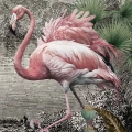plakat-fragment-egzotyczna-dzungla-rozowe-flamingi-_web.webp