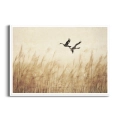 plakat-biala-trawy-pampasowe-zurawie-ptaki_web.webp