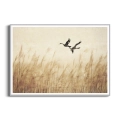 plakat-srebrna-trawy-pampasowe-zurawie-ptaki_web.webp