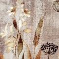 plakat-fragment-polne-trawy-ziola-brazowa-laka_web.webp