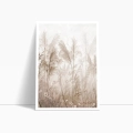 bok1-trawa-pampasowa-na-wietrze-boho_web.webp