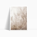 bok2-trawa-pampasowa-na-wietrze-boho_web.webp