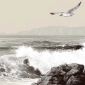 plakat-fragment-morze-mewy-nadmorski-krajobraz_web.webp