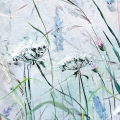 plakat-fragment-polne-trawy-malarska-laka_web.webp