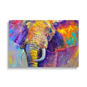 Obraz na szkle Kolorowy słoń