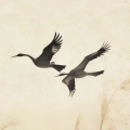 trawy-pampasowe-zurawie-ptaki-plotno-fragment_web.webp