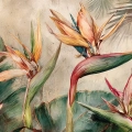 kwiaty-strelicji-liscie-bananowca-plakat-fragment_web.webp
